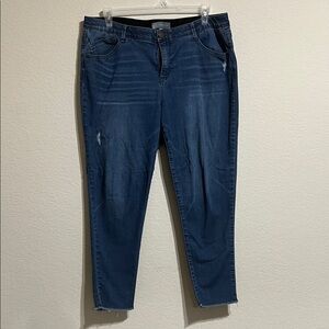 Wit & Wisdom Ab-Solution Fray Hem Ankle Skinny Jeans